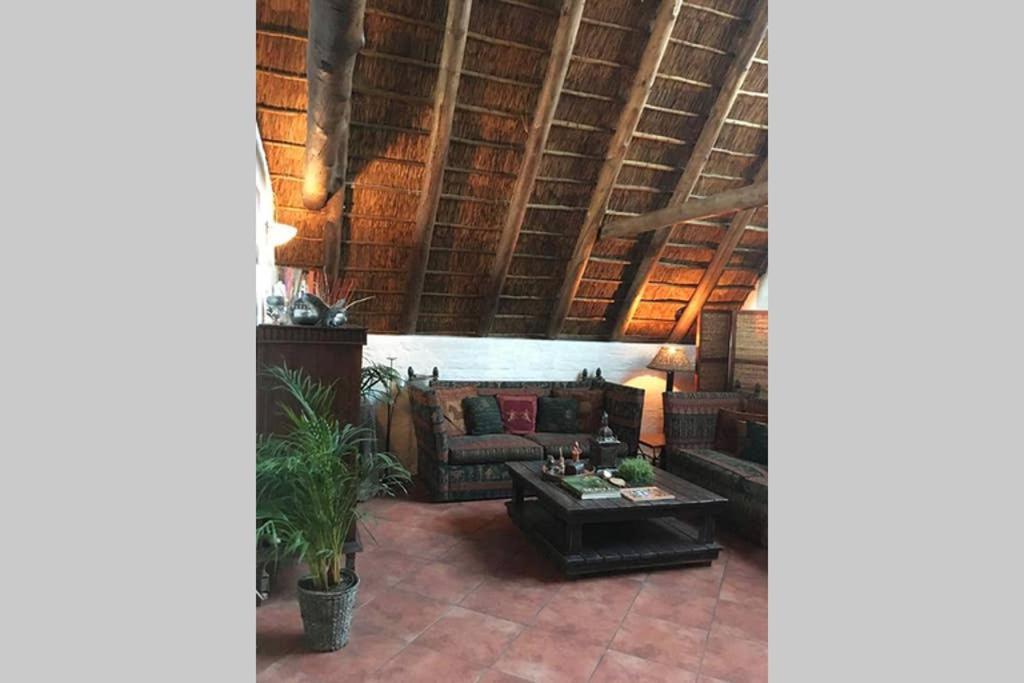 Pantera Lodge & Cheetah Cottage Johannesburg Kültér fotó