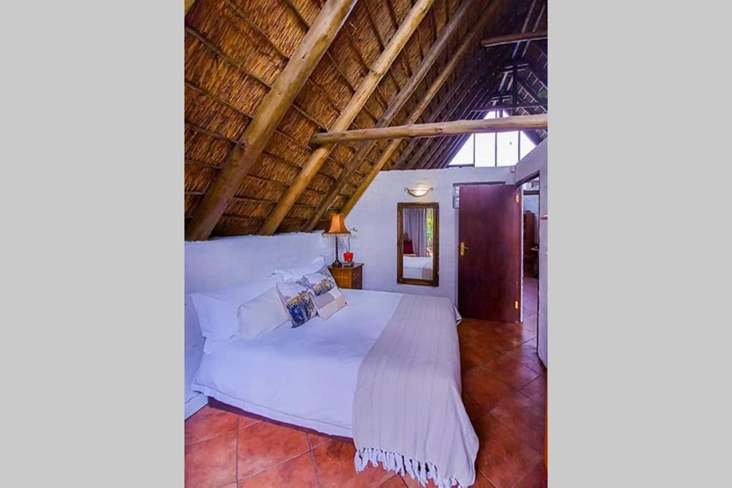 Pantera Lodge & Cheetah Cottage Johannesburg Kültér fotó
