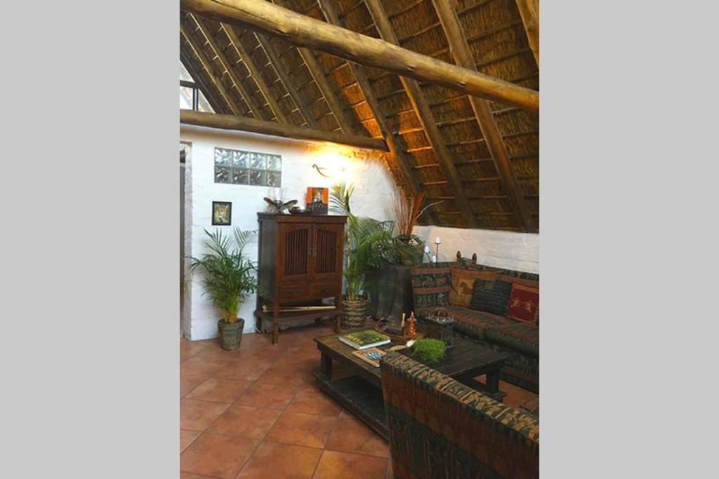 Pantera Lodge & Cheetah Cottage Johannesburg Kültér fotó