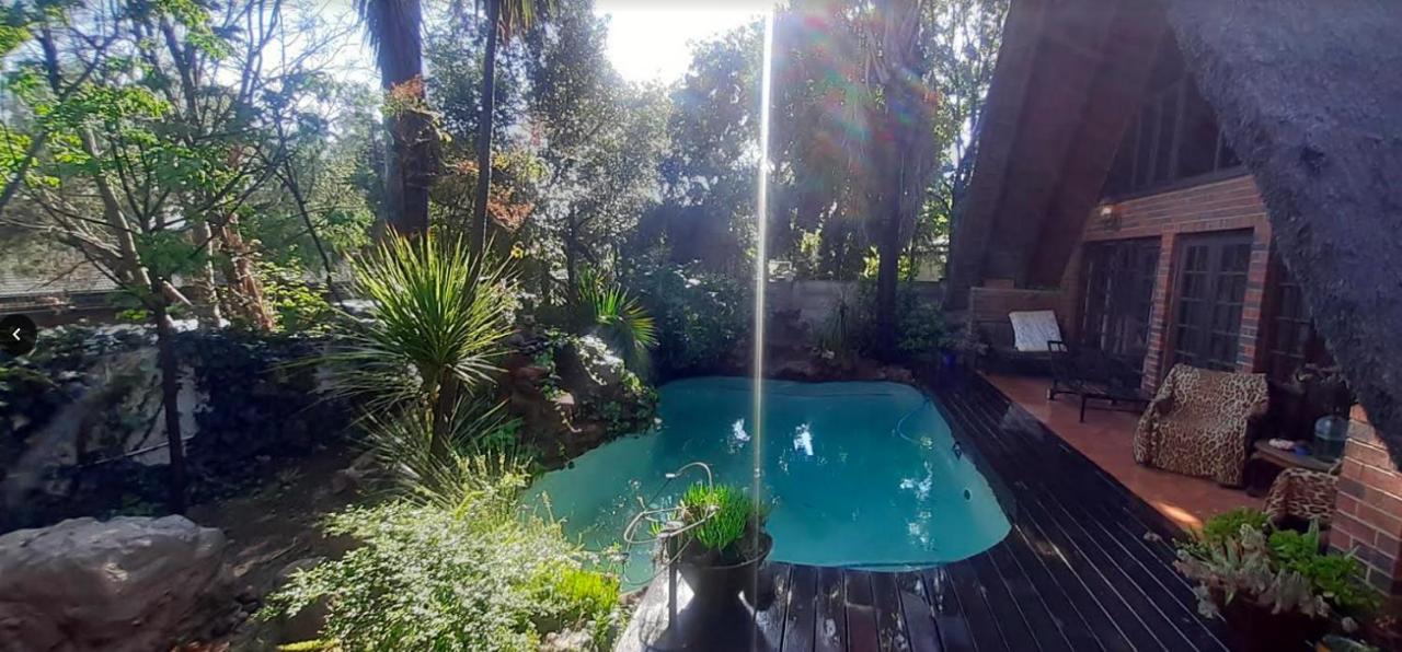 Pantera Lodge & Cheetah Cottage Johannesburg Kültér fotó
